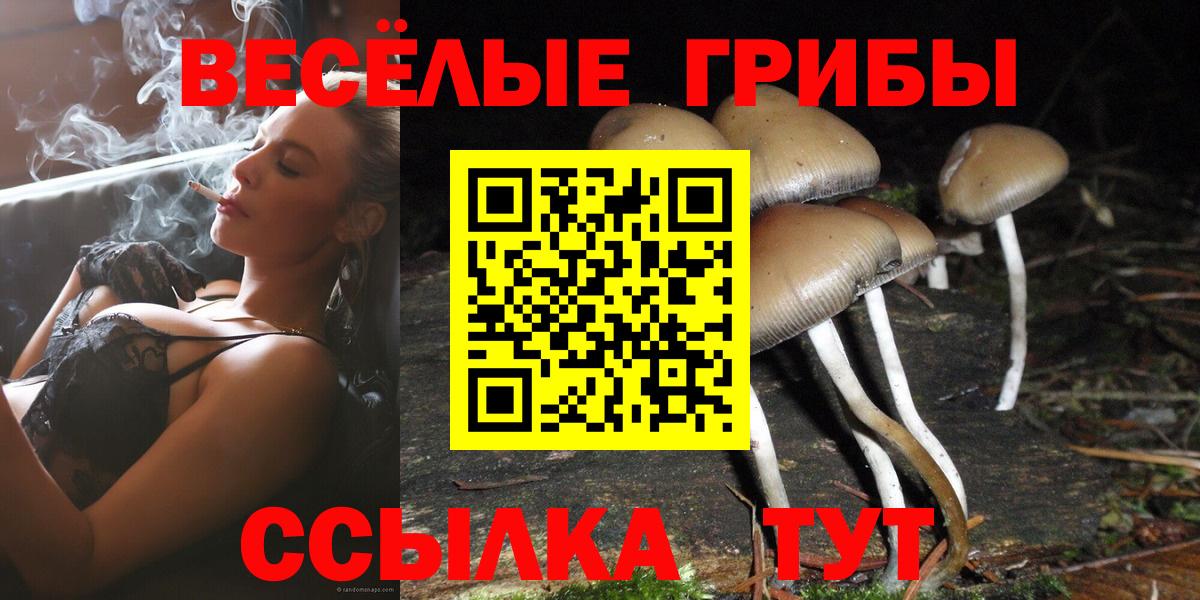 Галлюциногенные грибы Psilocybe  Псилоцибиновые грибы Cubensis  Вход с VPN  Качканар 
